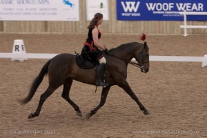 Lusitano Breed Society of Great Britain Show - Hartpury College - 27th June 2009